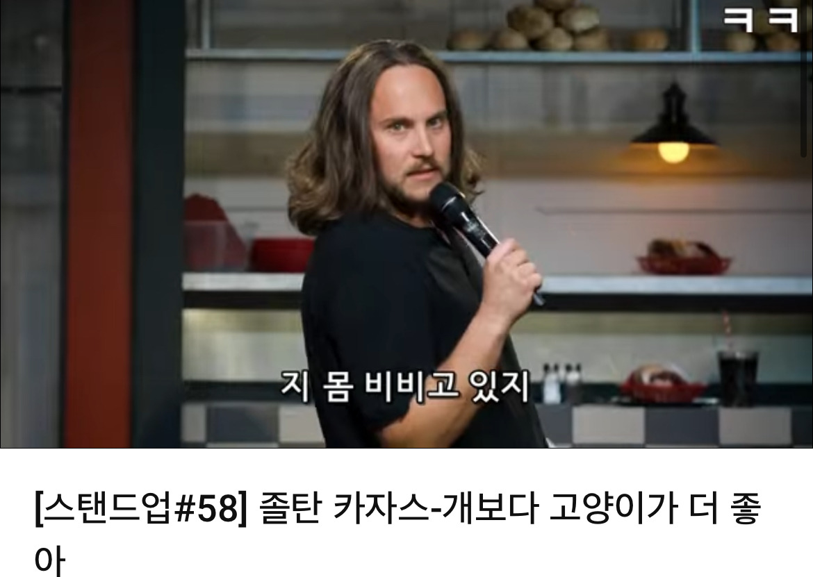 미국 코미디언이 말하는 개보다 고양이가 좋은 이유 | 인스티즈
