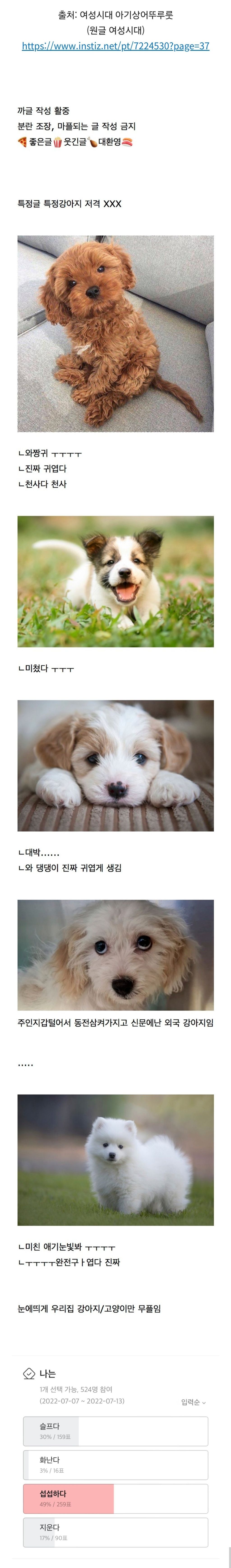  강아지 사진 올리는글에 우리개한테만 대댓이 안달린다면 달글