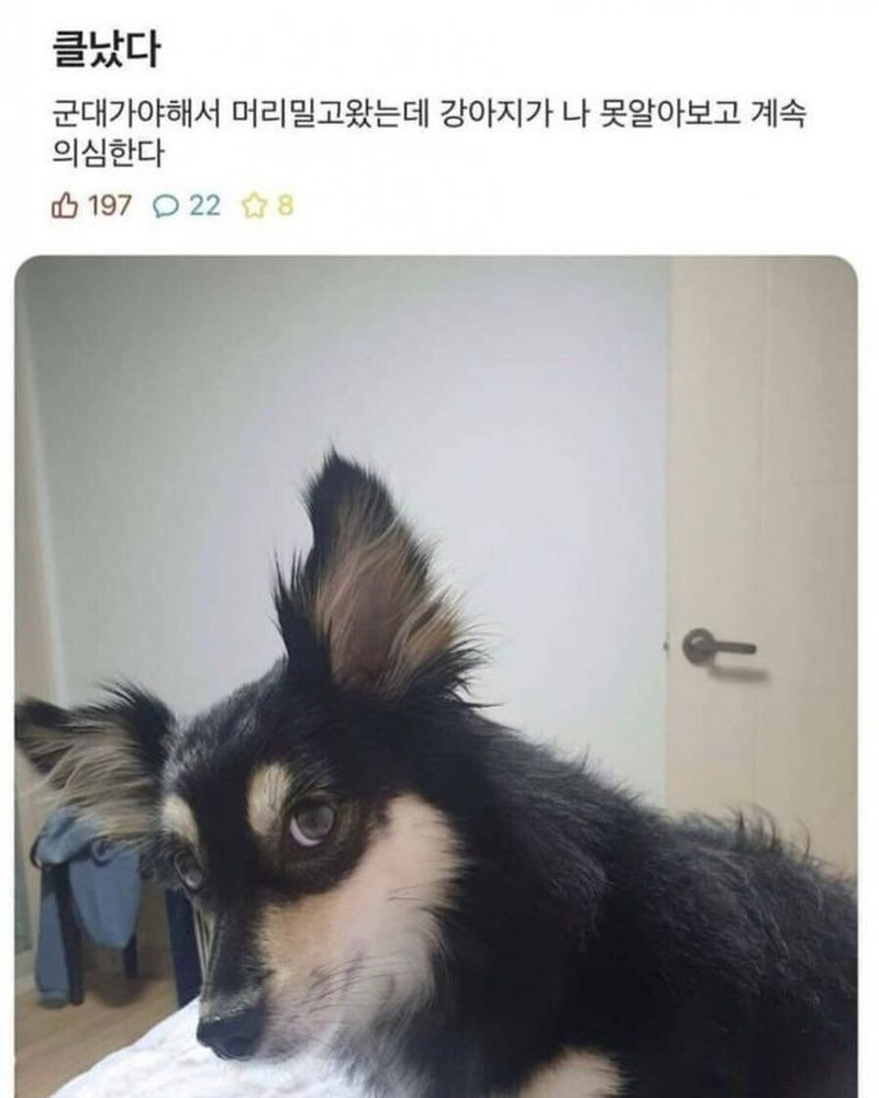 클났다 | 인스티즈