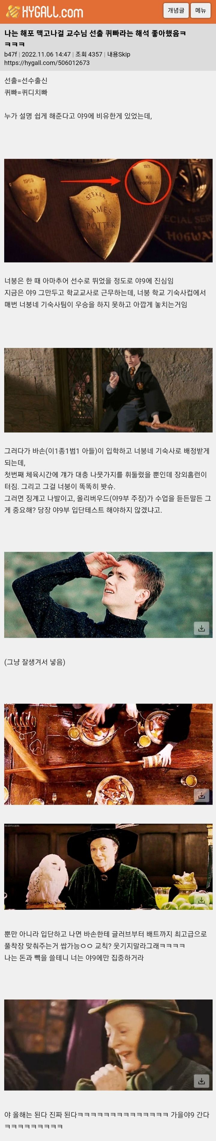  나는 해포 맥고나걸 교수님 선출 퀴빠라는 해석 좋아했음ㅋㅋㅋㅋ