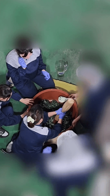 싱글벙글 시골 회사 간식 시간 | 인스티즈