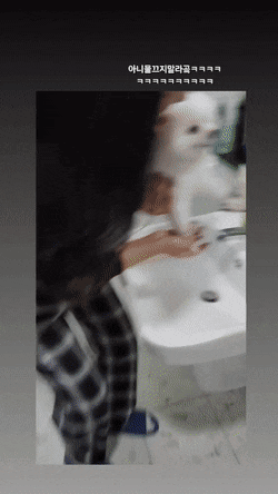  발 씻기가 싫었던 강아지.gif