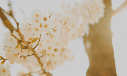 이해인 수녀의 대장암 극복기 | 인스티즈
