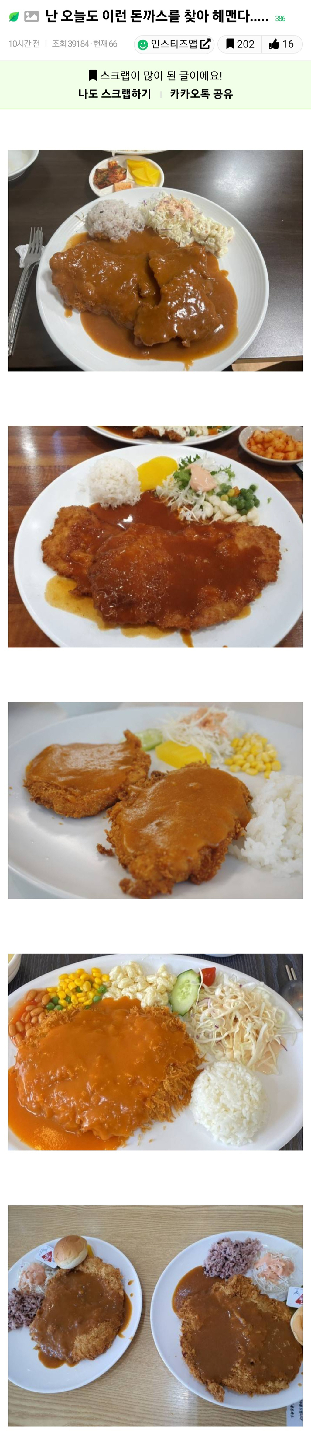  난 오늘도 이런 돈까스를 찾아 헤맨다