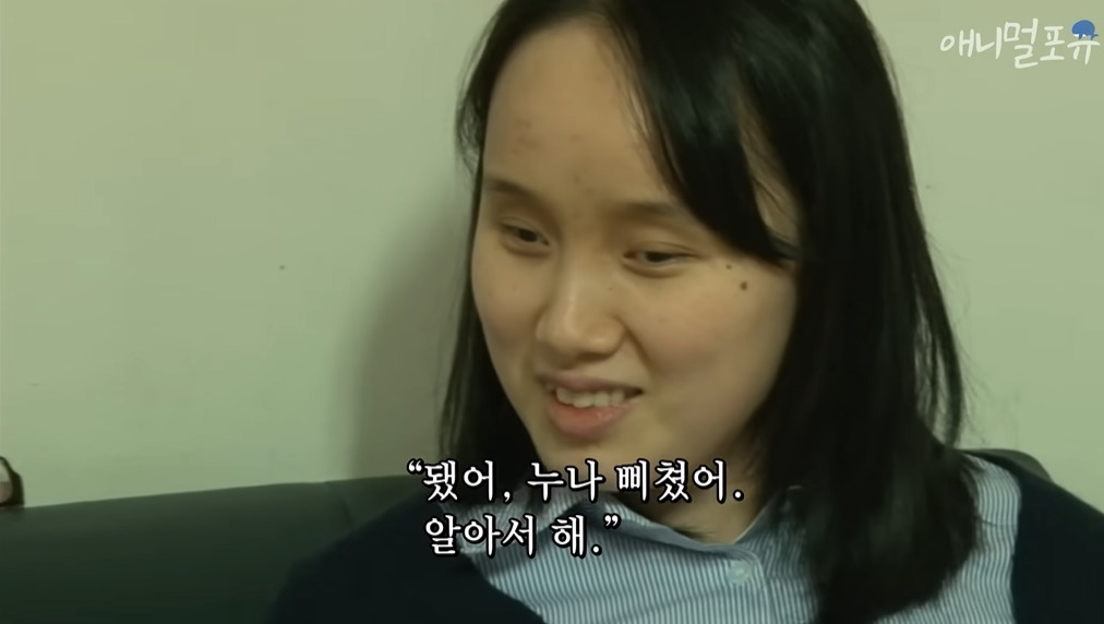 주인이 혼자 나가서 당황하는 안내견 | 인스티즈