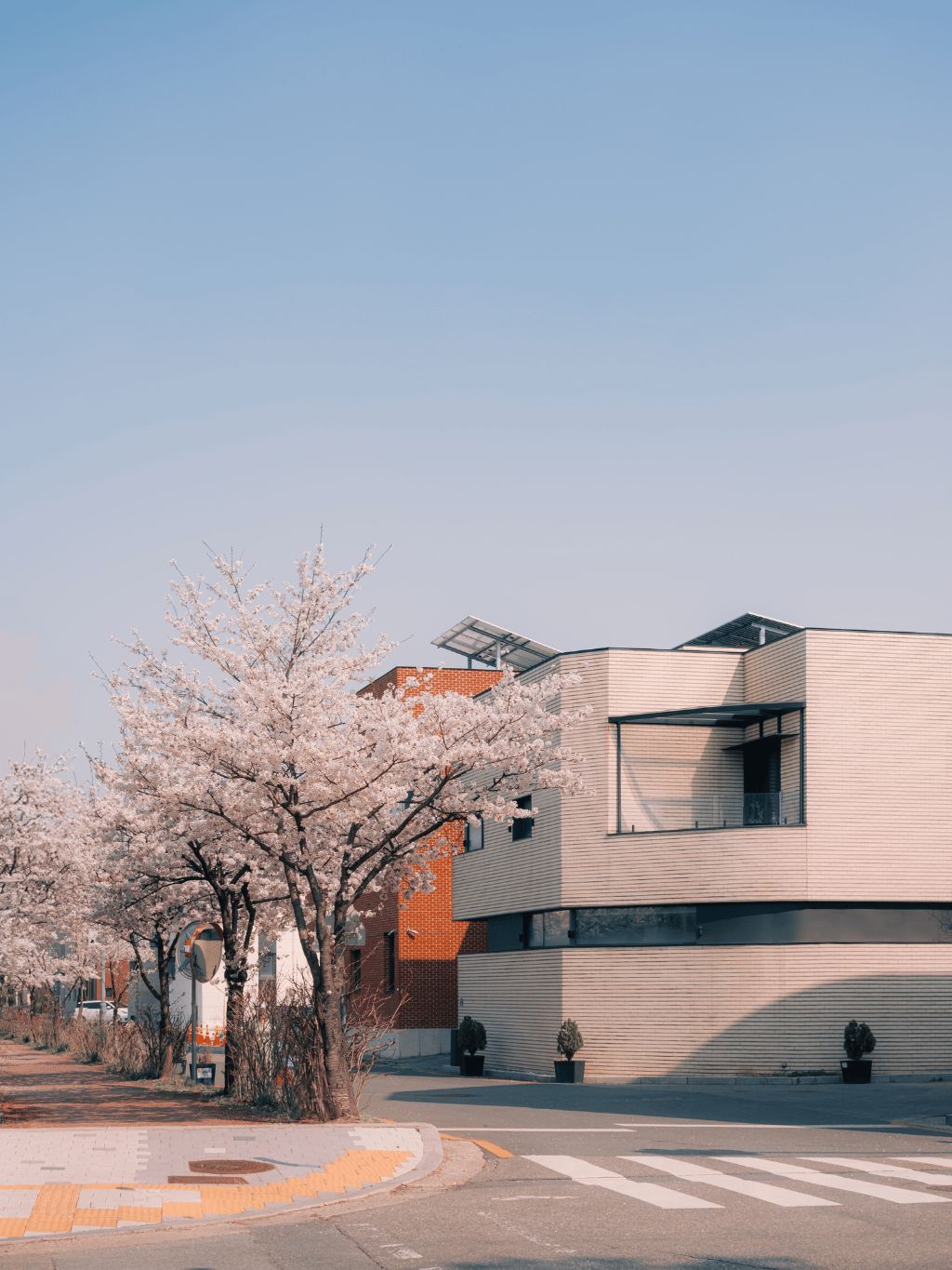 꽃과 새 | 인스티즈