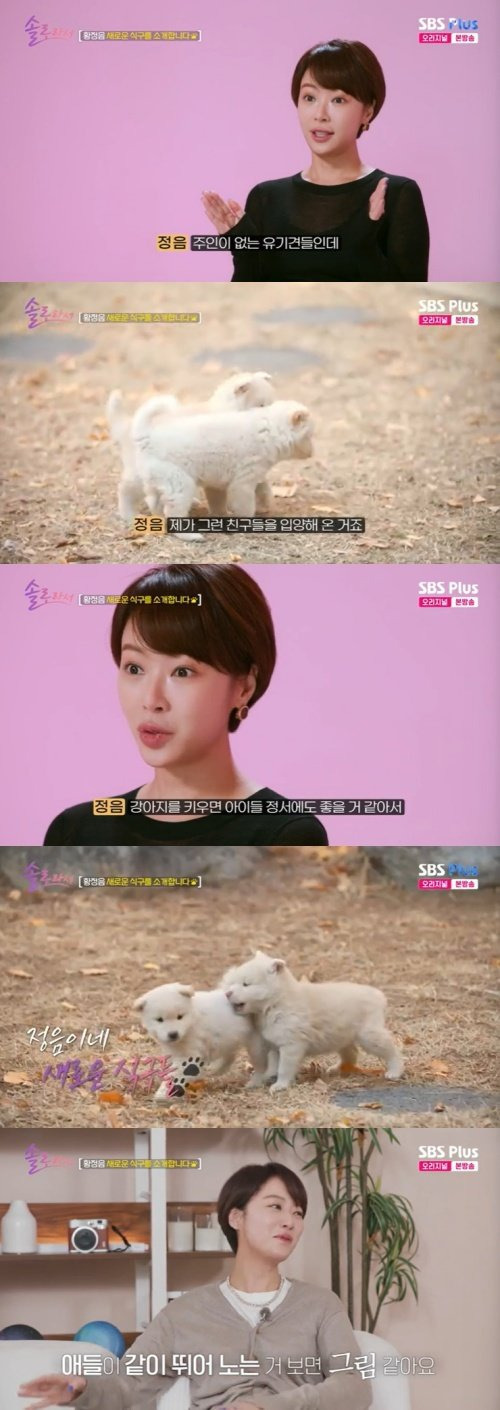 황정음 아들 둘, 강아지 둘 이름 | 인스티즈