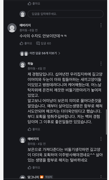 광양시에서 발생한 고양이 학대사건 케이지 채로 바다에 버려진 아이들 (사진 주의) | 인스티즈