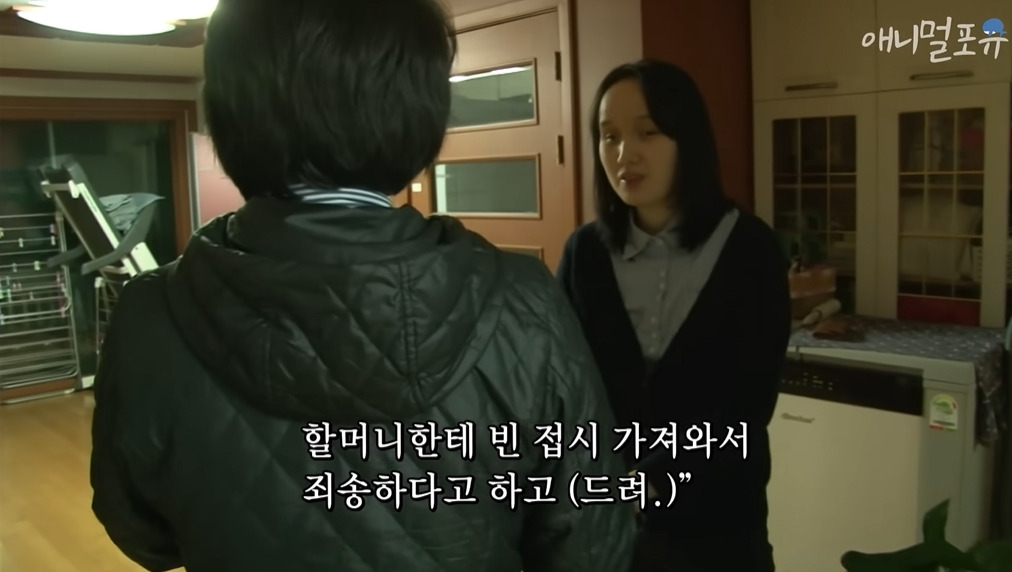 주인이 혼자 나가서 당황하는 안내견 | 인스티즈