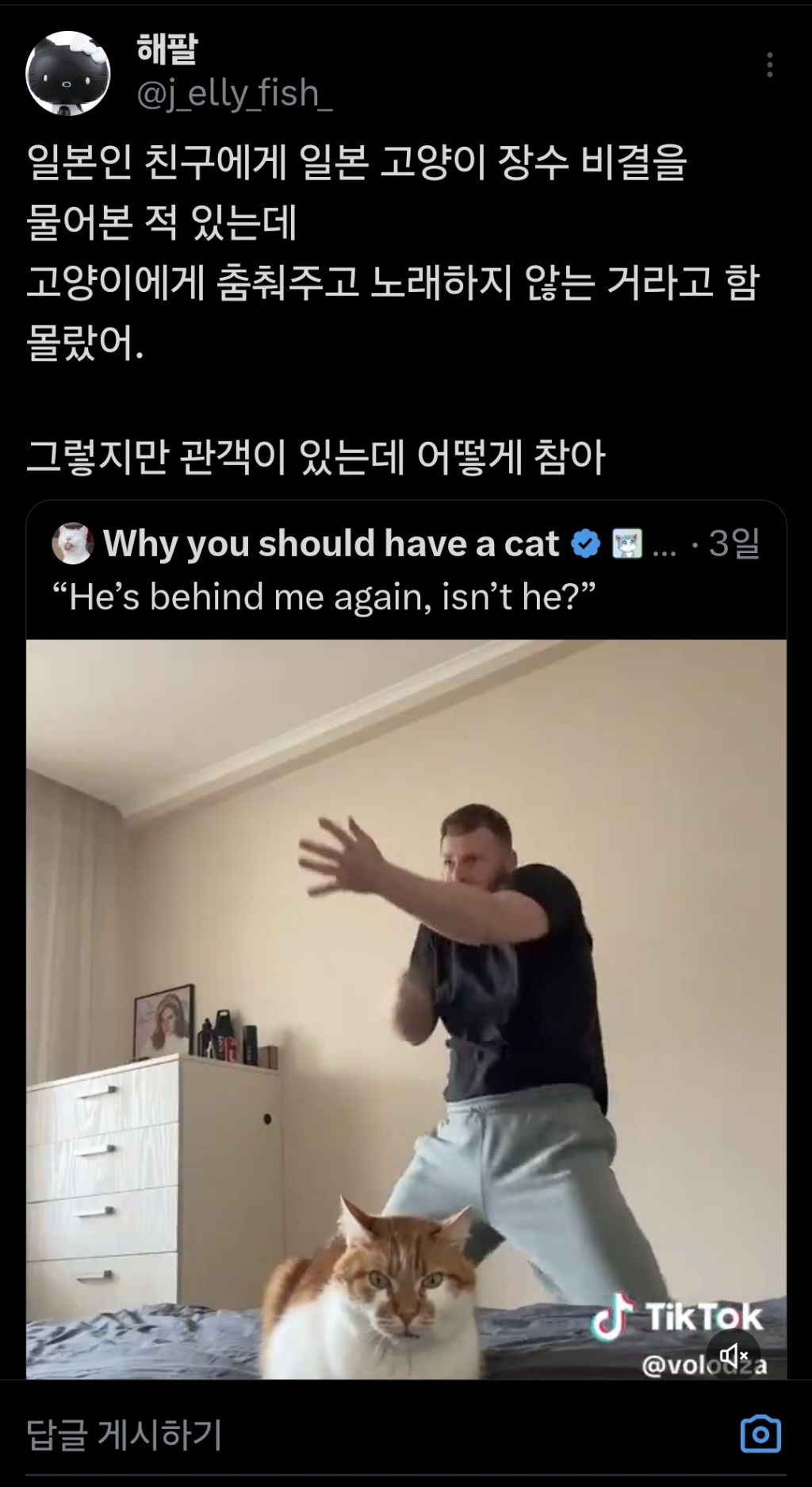 고양이 장수의 비결이 뭐냐고 물어봤더니.twt | 인스티즈