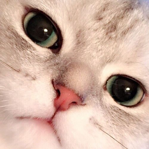 고영님 사진 다수 | 인스티즈
