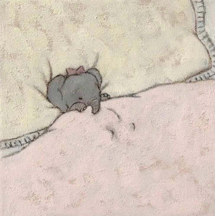 핀터깔 사진 57장 모음 (주로 고양이, 꽃) | 인스티즈