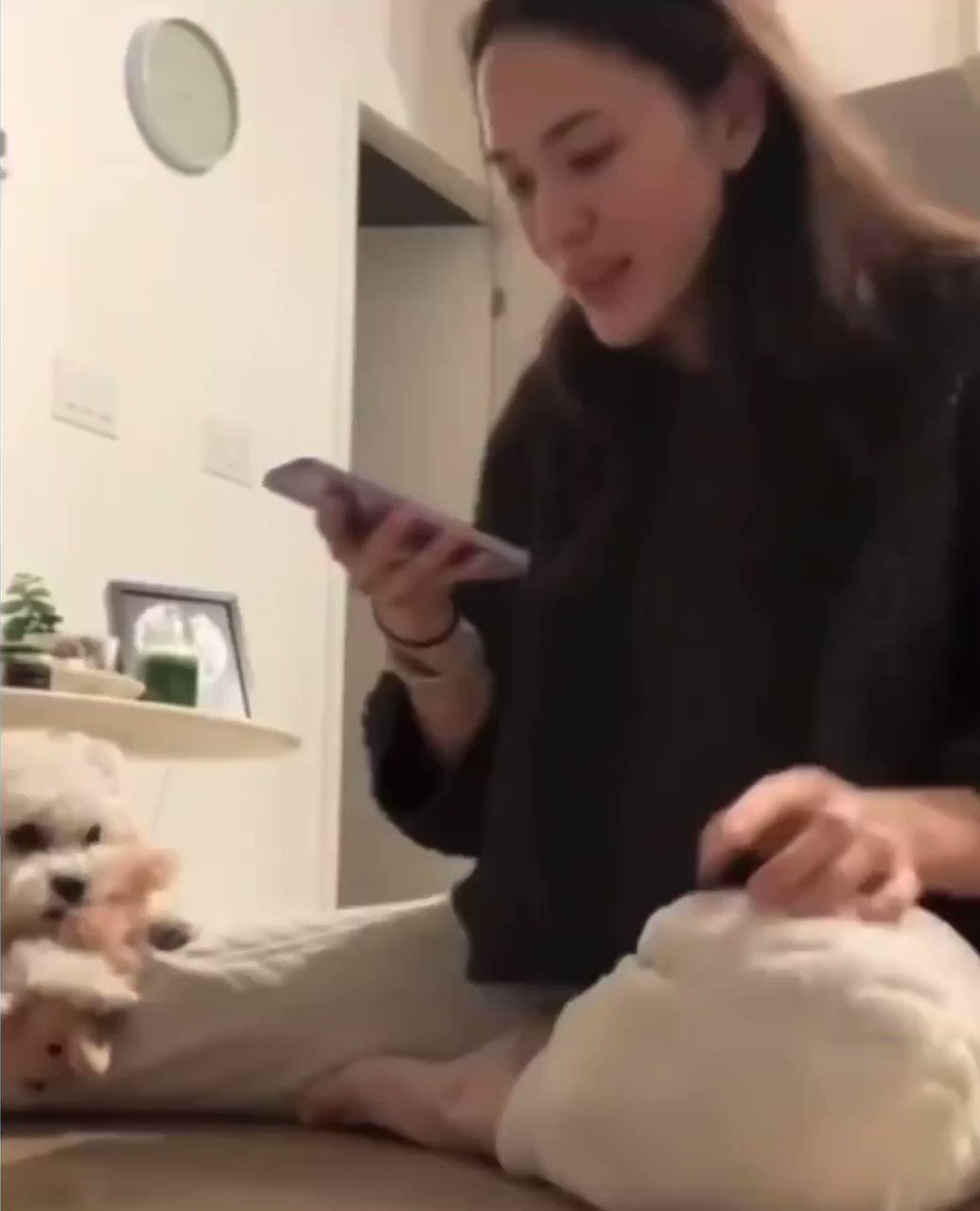 강아지 말 번역기로 키스해달라고 말해보았다 | 인스티즈