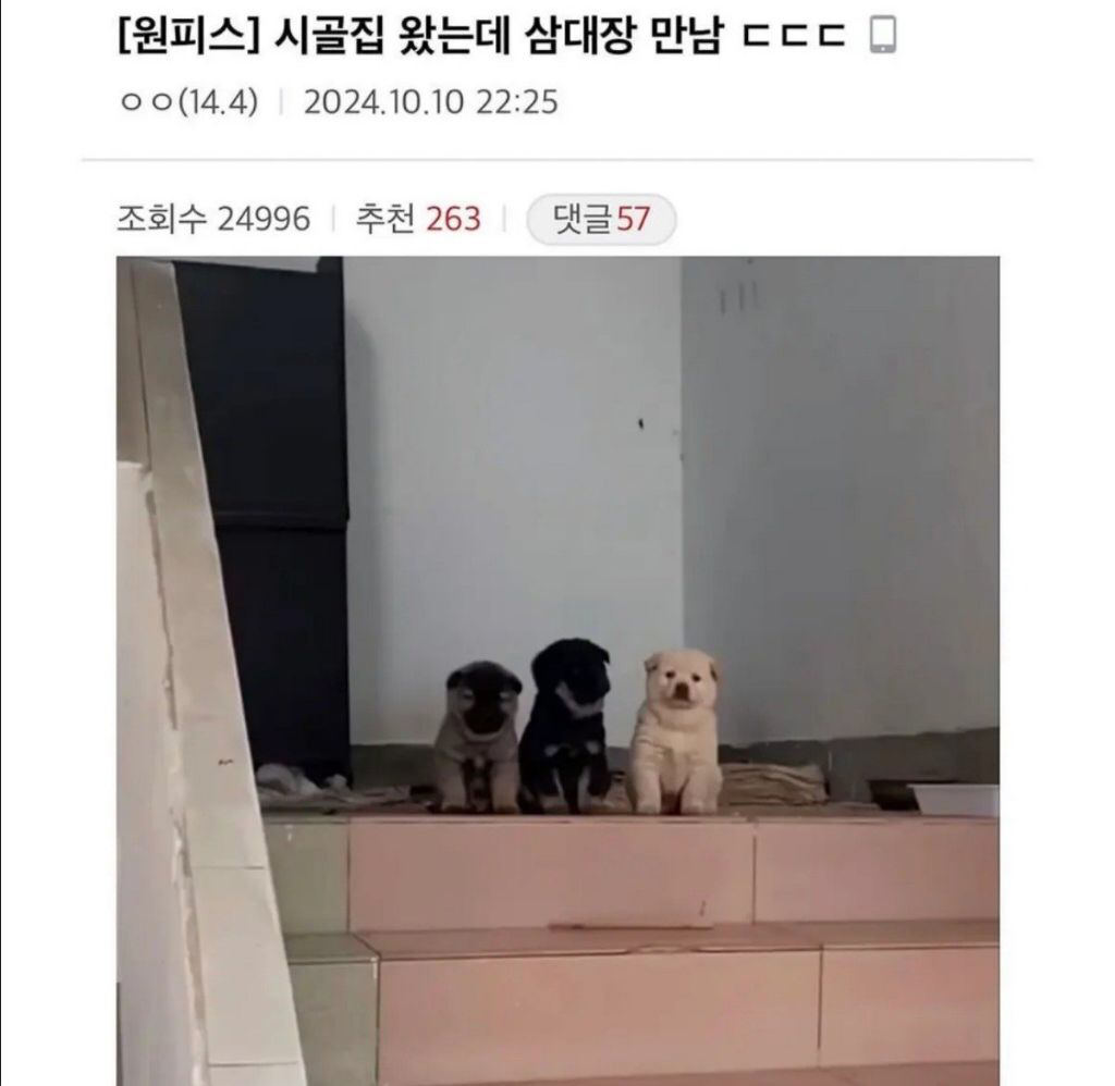  시골집 삼대장