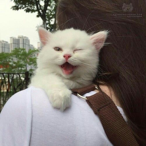 고영님 사진 다수 | 인스티즈