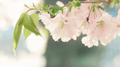 이해인 수녀의 대장암 극복기 | 인스티즈