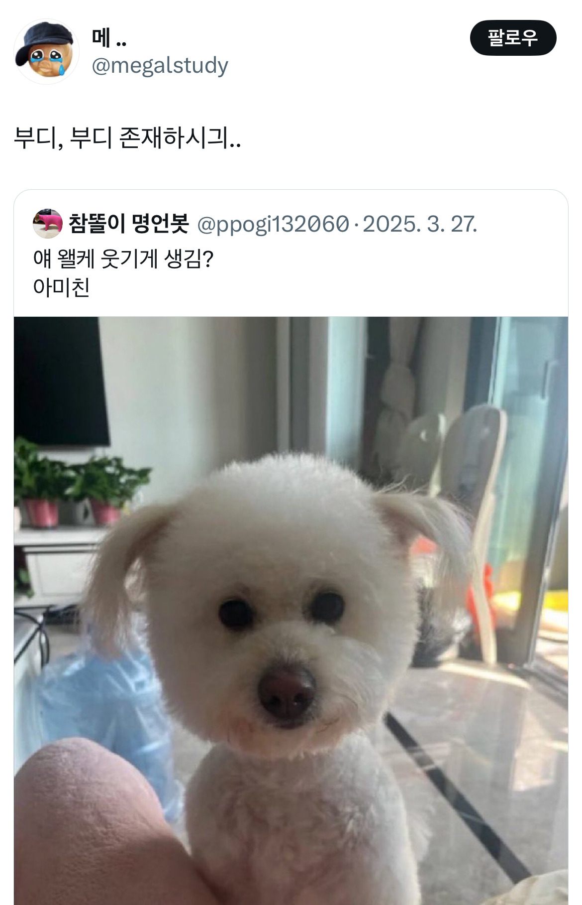 부디, 부디 존재하시긔...twt | 인스티즈