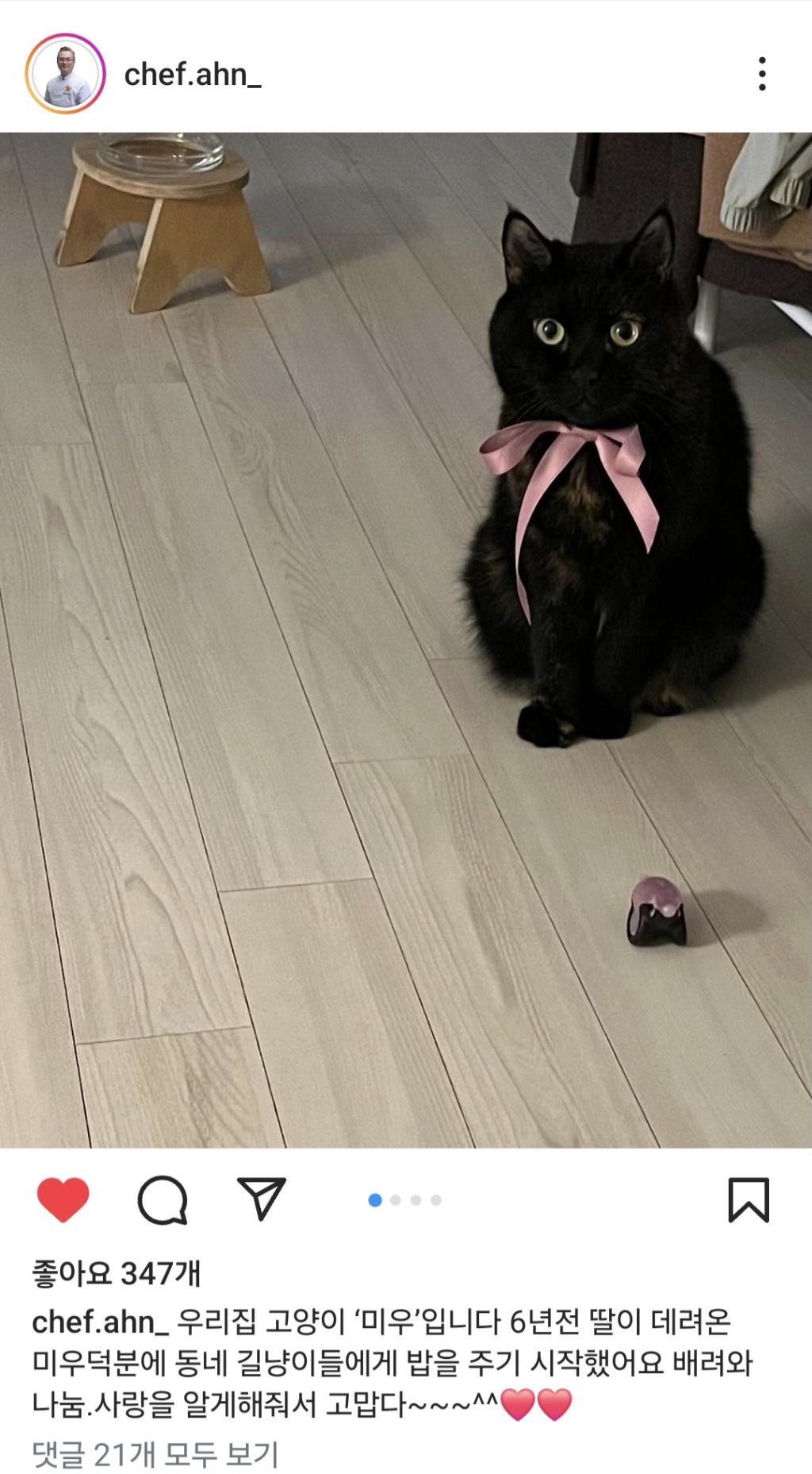  흑백요리사 안유성 명장님네 고양이 미우1