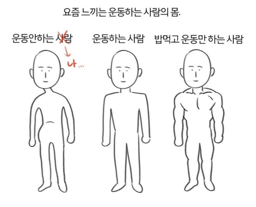 운동을 하면 알게되는 운동 전후 사람의 몸 | 인스티즈