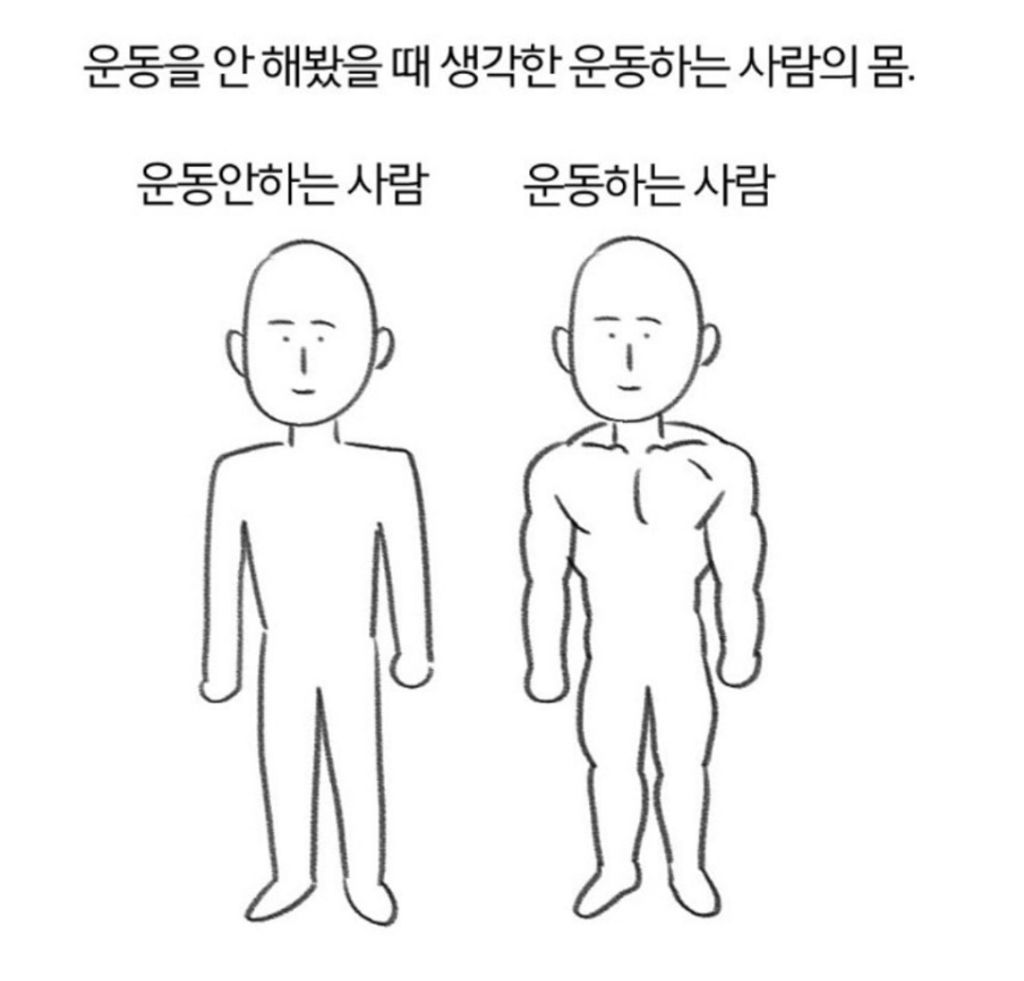 운동을 하면 알게되는 운동 전후 사람의 몸