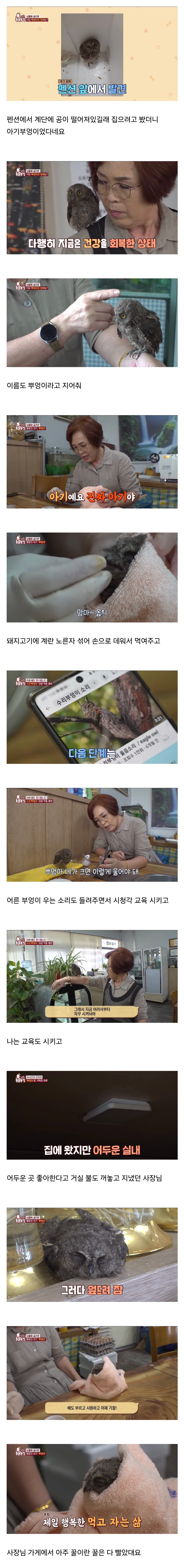 아기인 척 모르는 아주머니를 속여 음식과 집을 갈취한 | 인스티즈