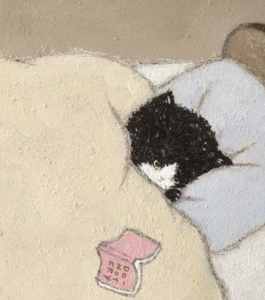 핀터깔 사진 57장 모음 (주로 고양이, 꽃) | 인스티즈