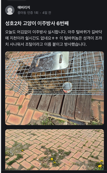광양시에서 발생한 고양이 학대사건 케이지 채로 바다에 버려진 아이들 (사진 주의) | 인스티즈
