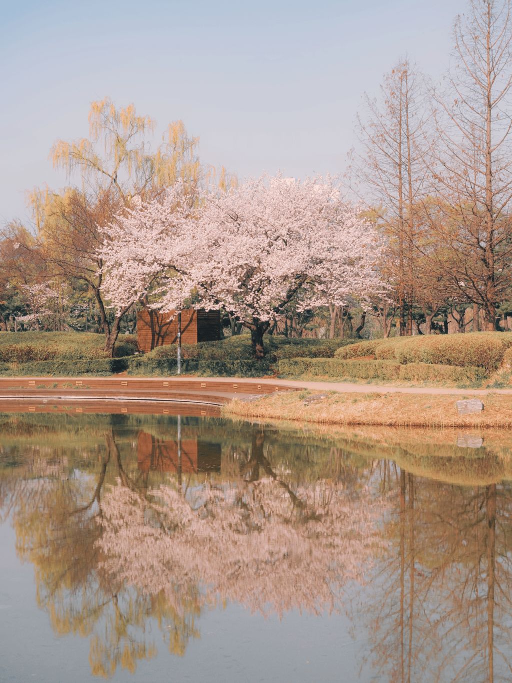  꽃과 새
