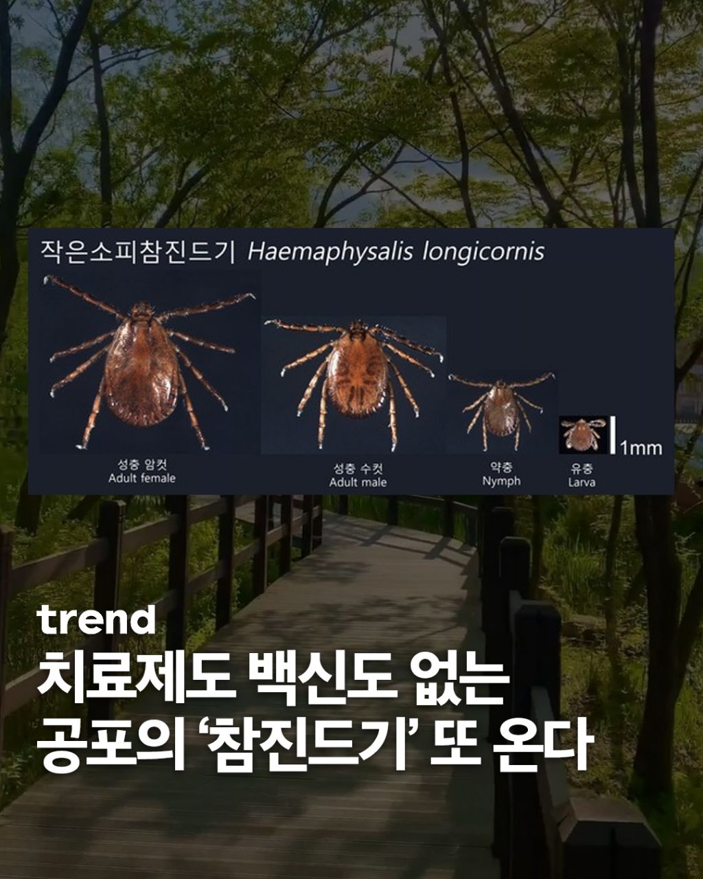  공포의 &apos;참진드기&apos; 또 온다