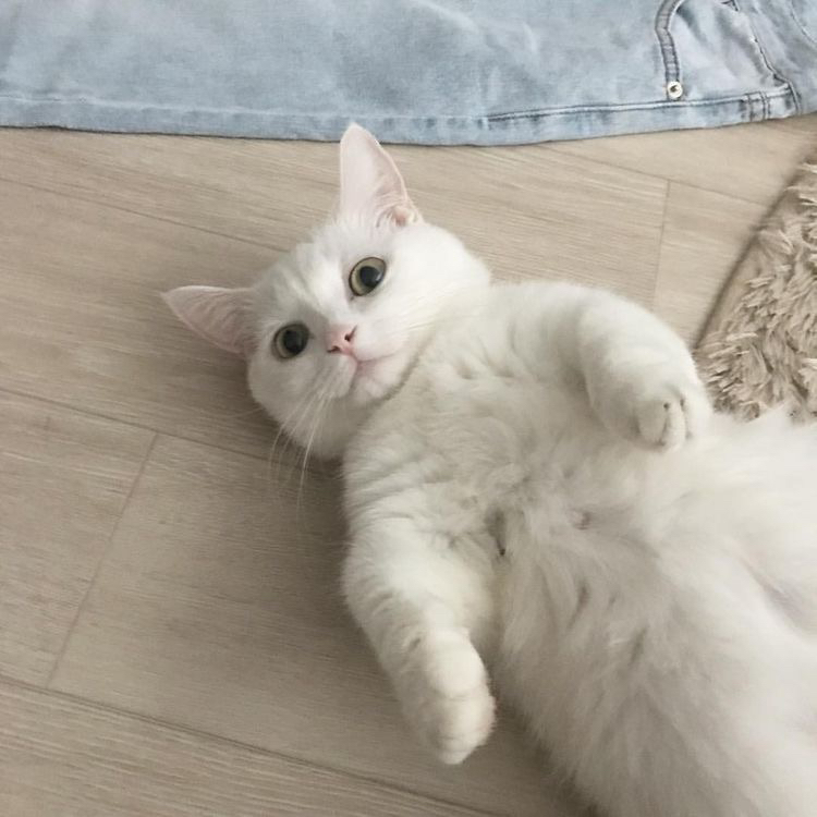 고영님 사진 다수 | 인스티즈