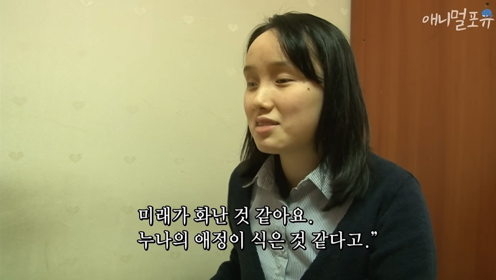 주인이 혼자 나가서 당황하는 안내견 | 인스티즈