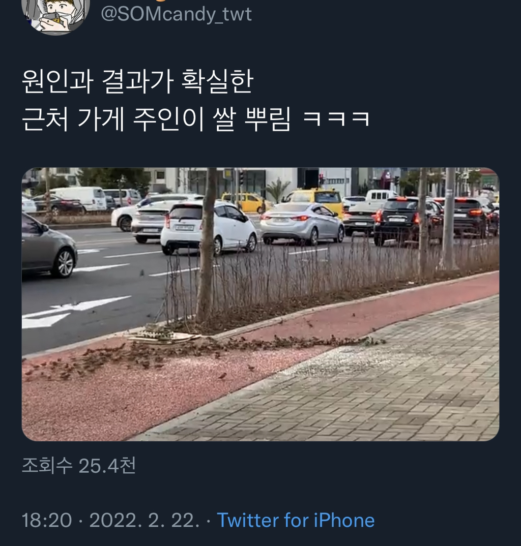 참새떼가 모여있는 이유 | 인스티즈