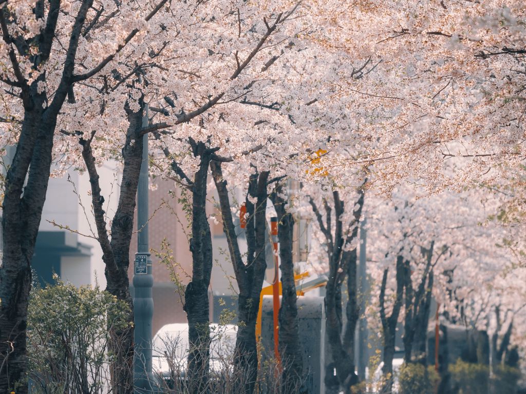 꽃과 새 | 인스티즈