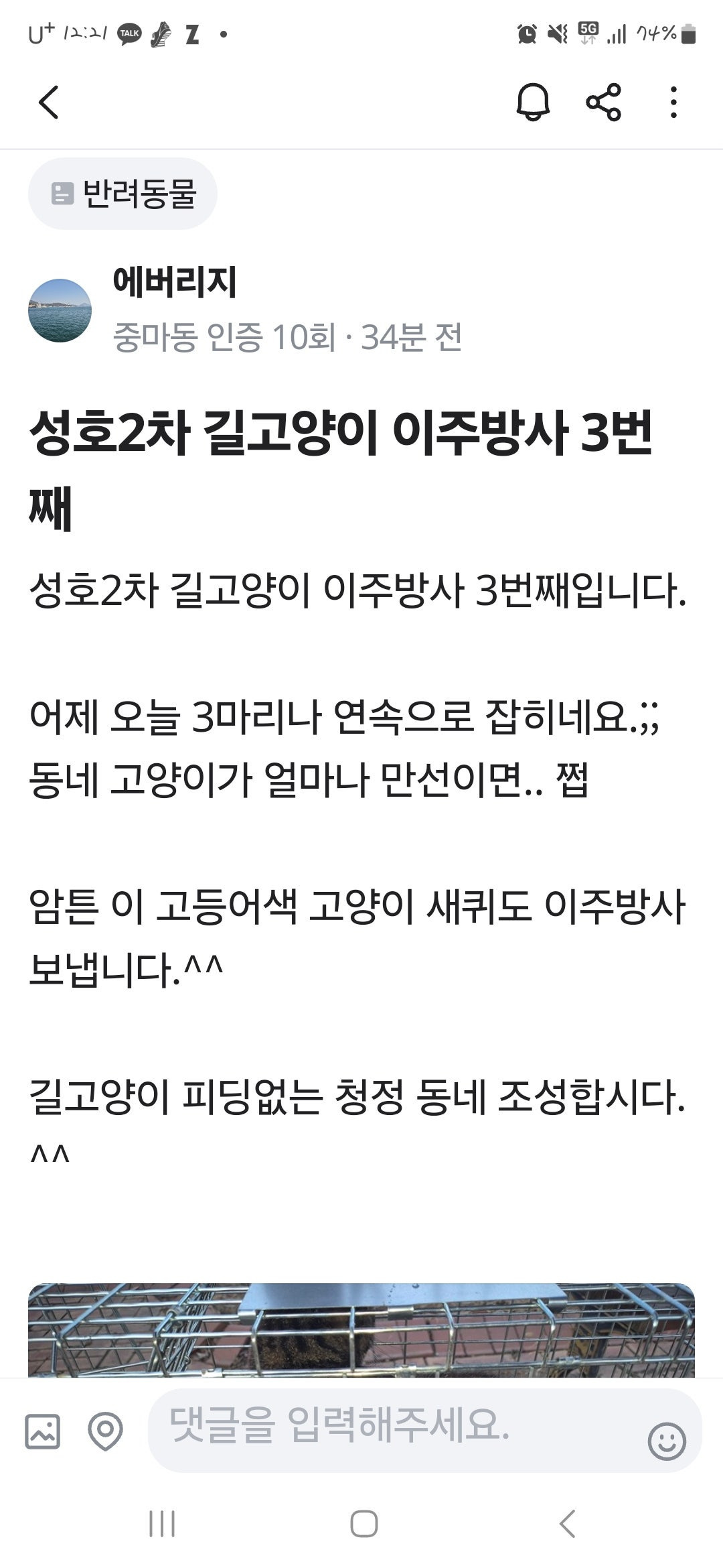 광양시에서 발생한 고양이 학대사건 케이지 채로 바다에 버려진 아이들 (사진 주의) | 인스티즈