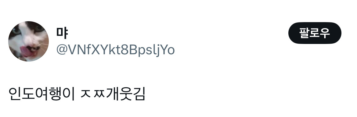 이 분 파리에서 여행하다가 갑자기 포스트말론 마주쳤는데 그냥 지인 만난것처럼 지나가서.twt | 인스티즈
