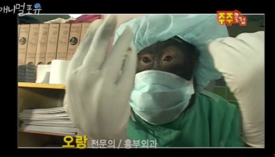  요즘 sns에서 핫한 오랑이의 충격적인 근황