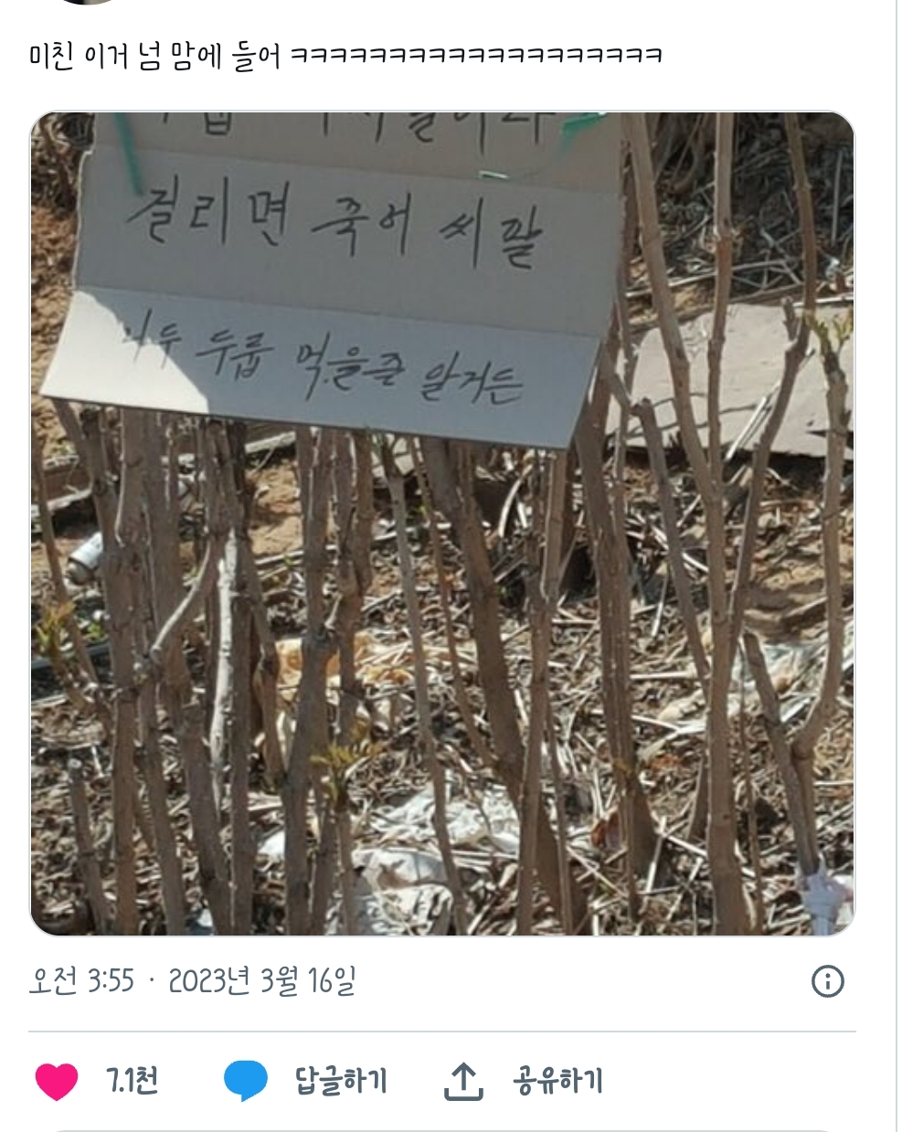  두릅 따지 말어라 걸리면 죽어