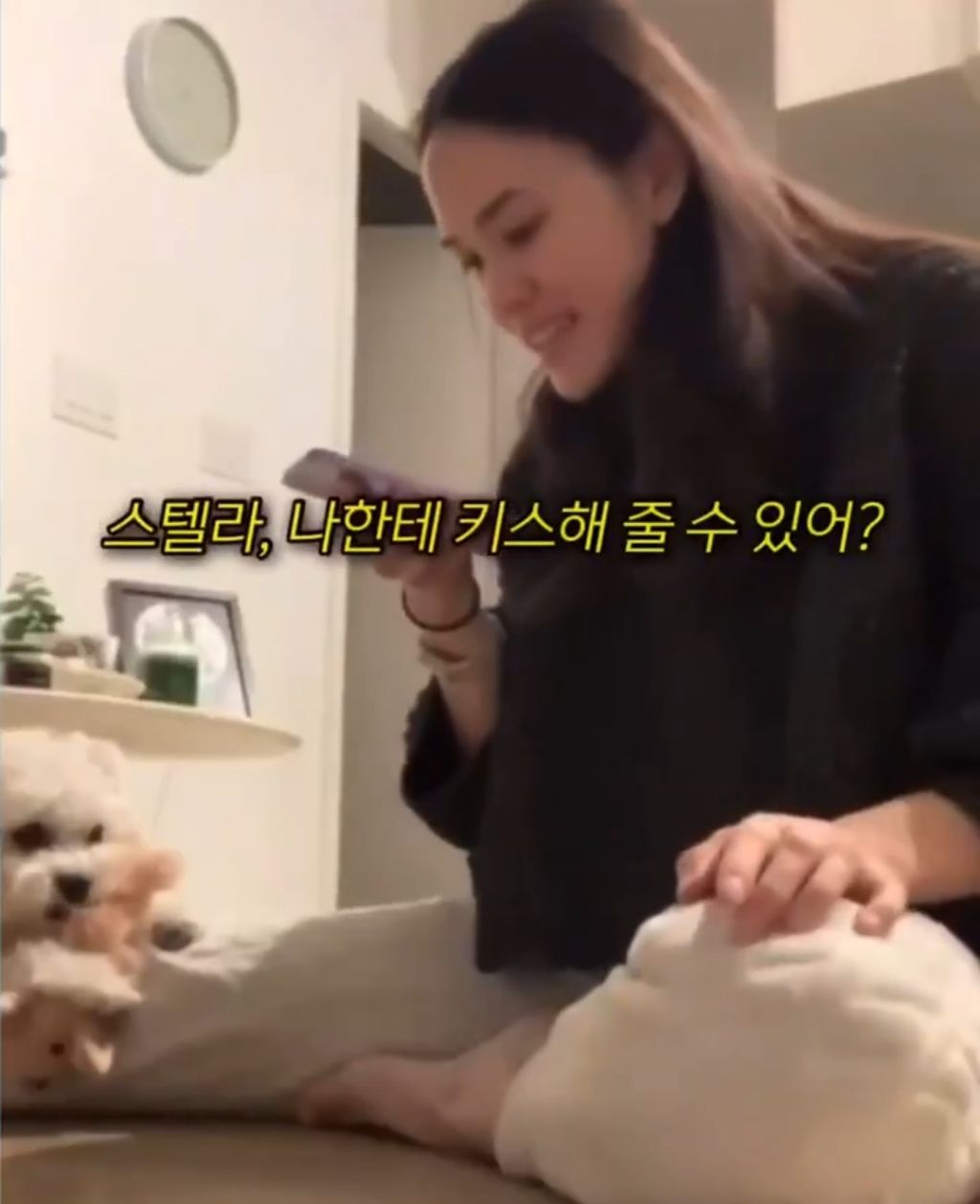 강아지 말 번역기로 키스해달라고 말해보았다 | 인스티즈
