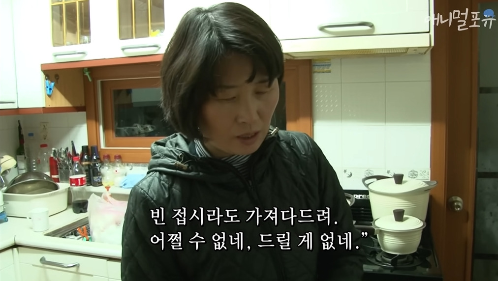  주인이 혼자 나가서 당황하는 안내견