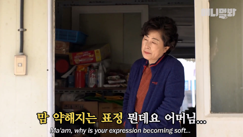 강아지가 매일 틈만나면 가출을 했던 이유...jpg | 인스티즈