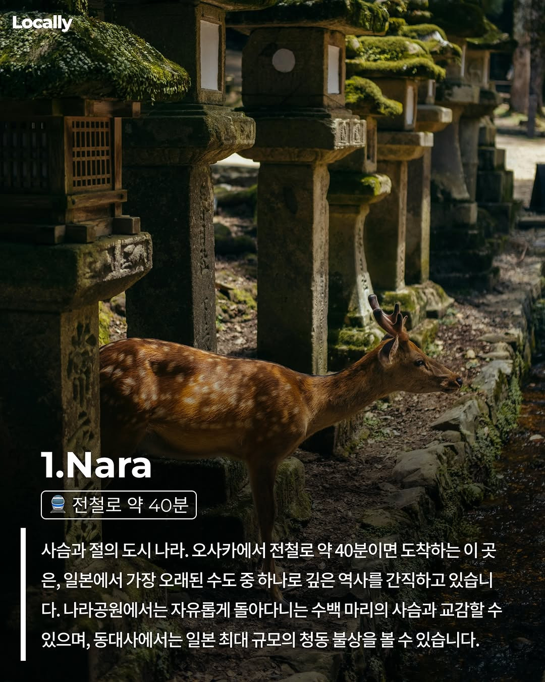  당일치기 오사카 근교도시 총정리