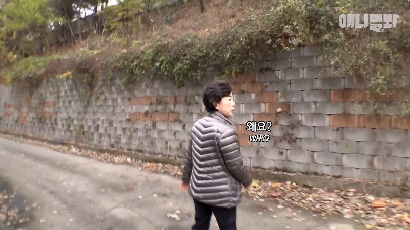 강아지가 매일 틈만나면 가출을 했던 이유...jpg | 인스티즈