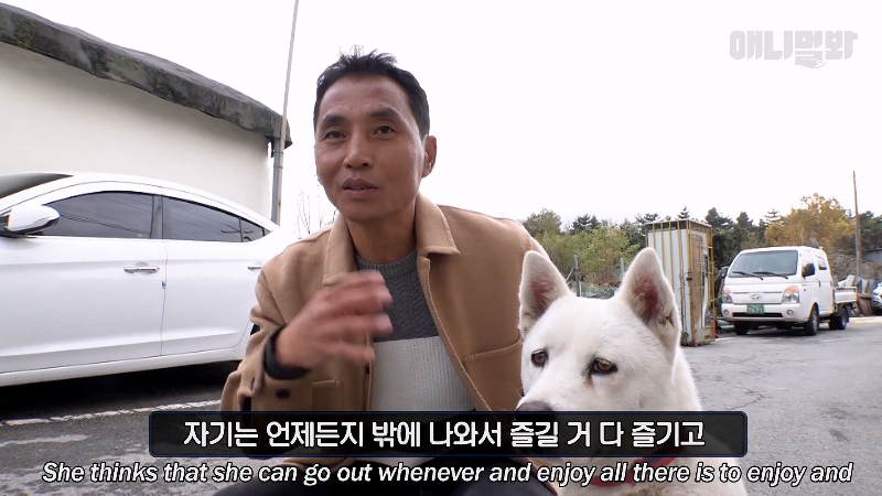 강아지가 매일 틈만나면 가출을 했던 이유...jpg | 인스티즈