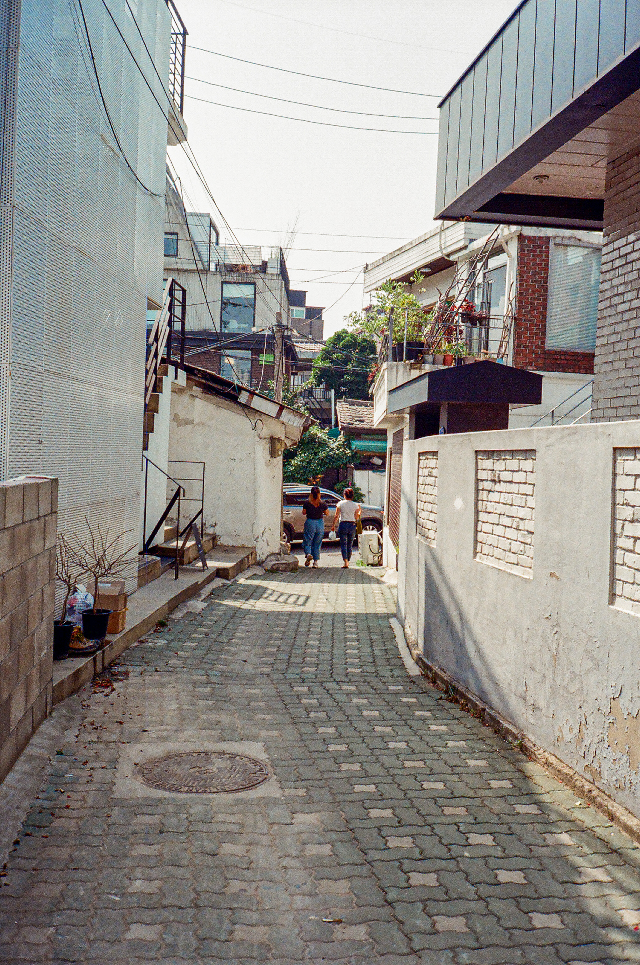 청량한 한국의 여름 사진들 🪴 | 인스티즈