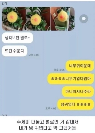  엄마가 뜨개질한 수세미 귀엽다고 했는데...jpg