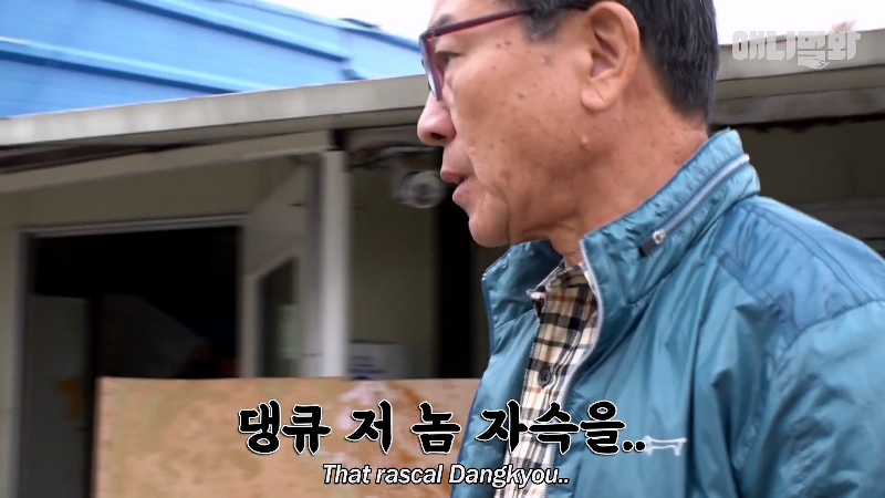 강아지가 매일 틈만나면 가출을 했던 이유...jpg | 인스티즈