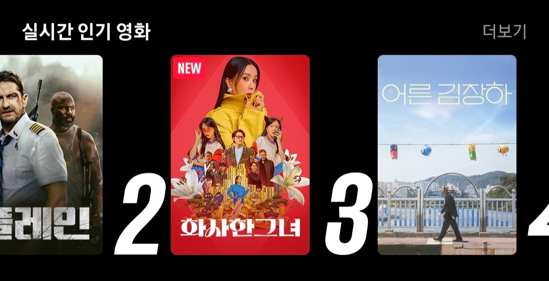 윤석열 파면 이후 각종 OTT 순위권으로 올라오는 중인 영화.jpg | 인스티즈