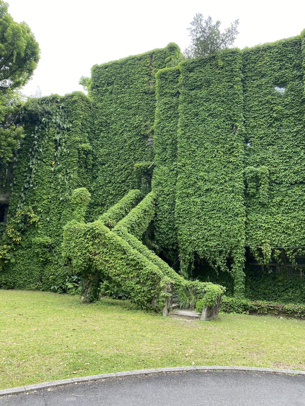 국립대만대학교의 멋진 계단🌿 .twt | 인스티즈