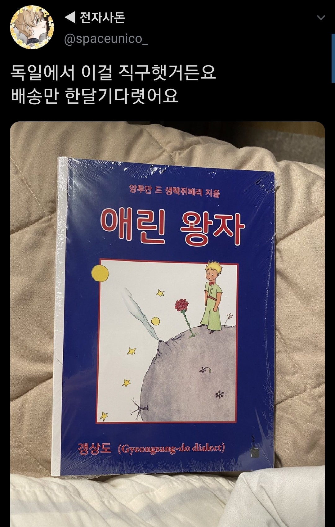 갱상도 애린왕자.jpg1