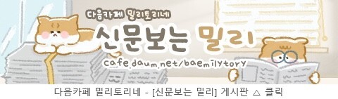  아이돌 나페스 원조 사이트